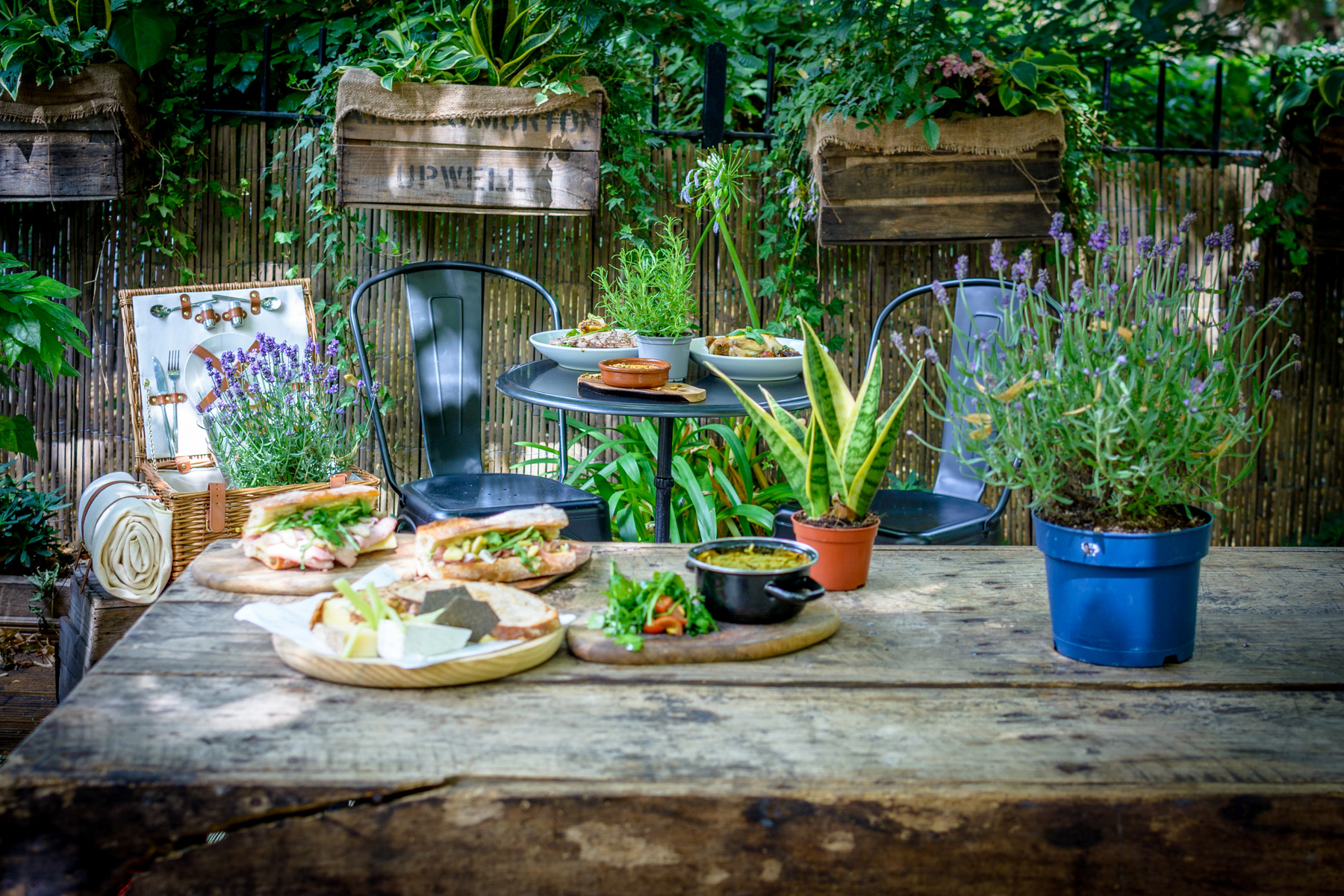 A commercial-style image showing various food plates on an outside table with plants and chairs.