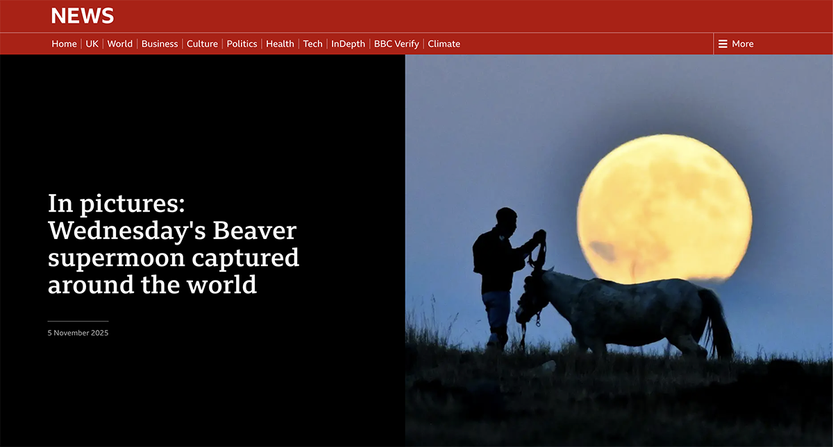 A screengrab showing the BBC News website